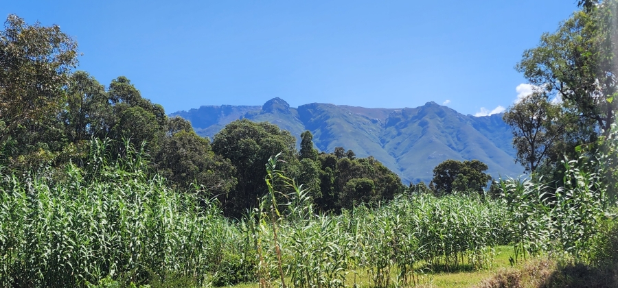 0 Bedroom Property for Sale in Swellendam Western Cape